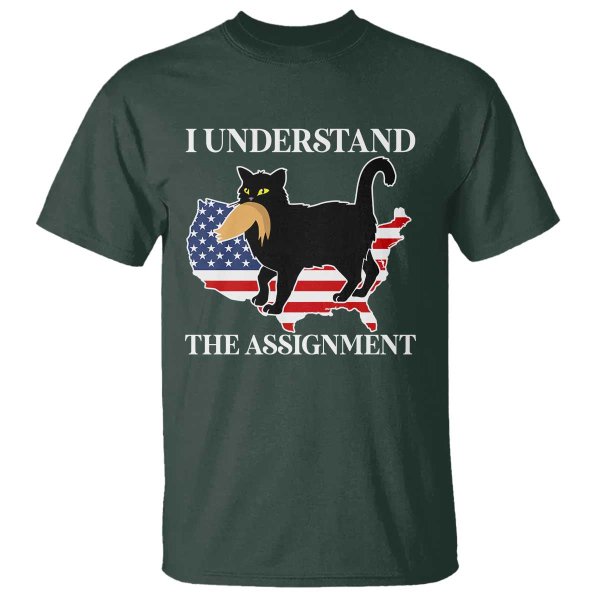 Funny Harris Supporter T Shirt I Understand The Assignment Black Cat American Flag - Wonder Print Shop