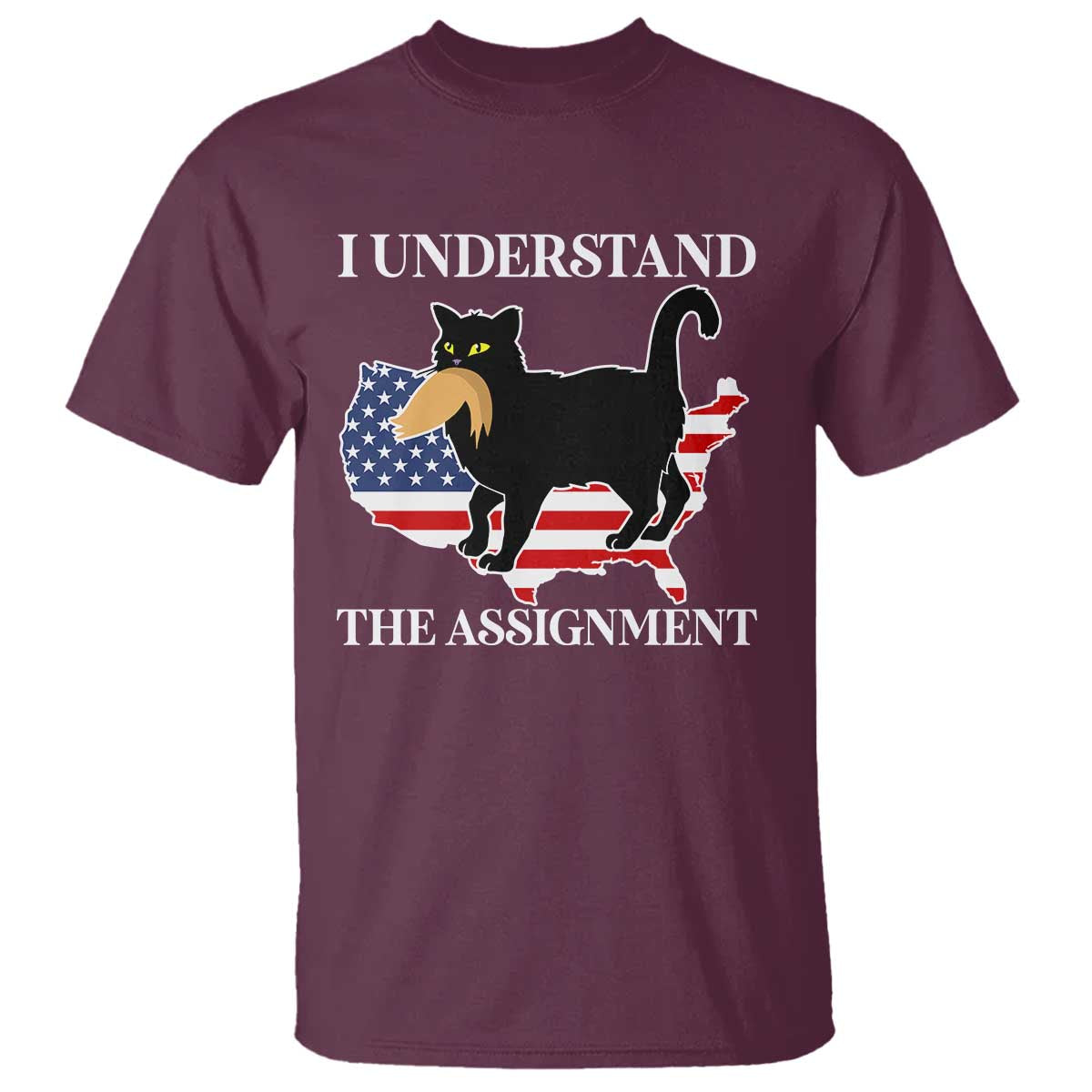 Funny Harris Supporter T Shirt I Understand The Assignment Black Cat American Flag - Wonder Print Shop