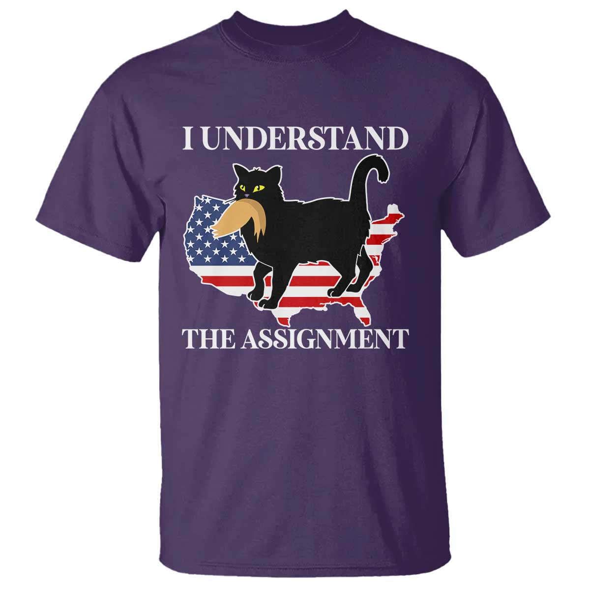 Funny Harris Supporter T Shirt I Understand The Assignment Black Cat American Flag - Wonder Print Shop