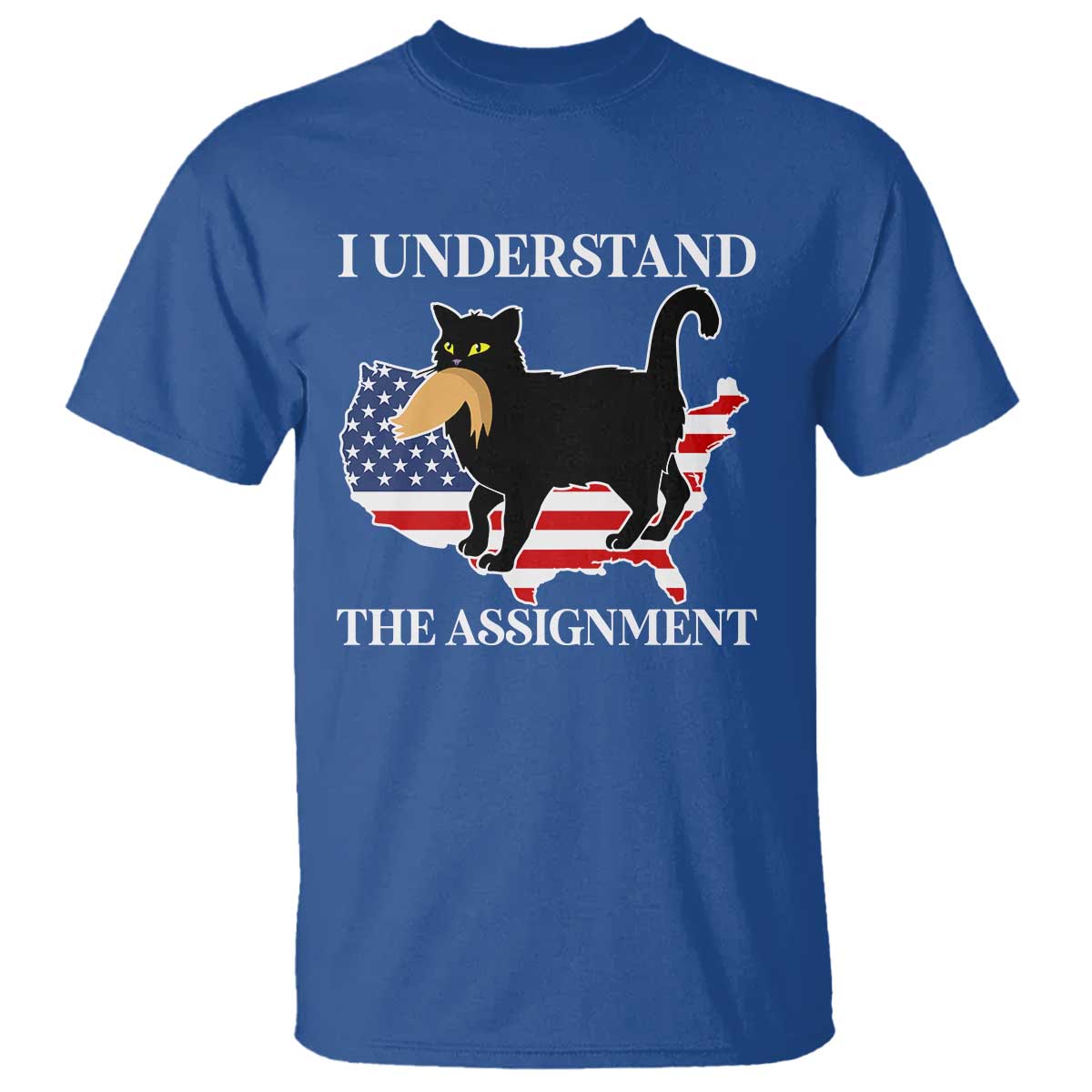 Funny Harris Supporter T Shirt I Understand The Assignment Black Cat American Flag - Wonder Print Shop