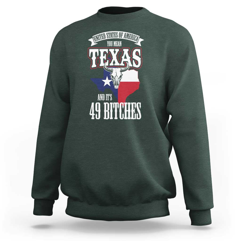 Funny American Texan Sweatshirt You Mean Texas And It's 49 Bitches TX Flag