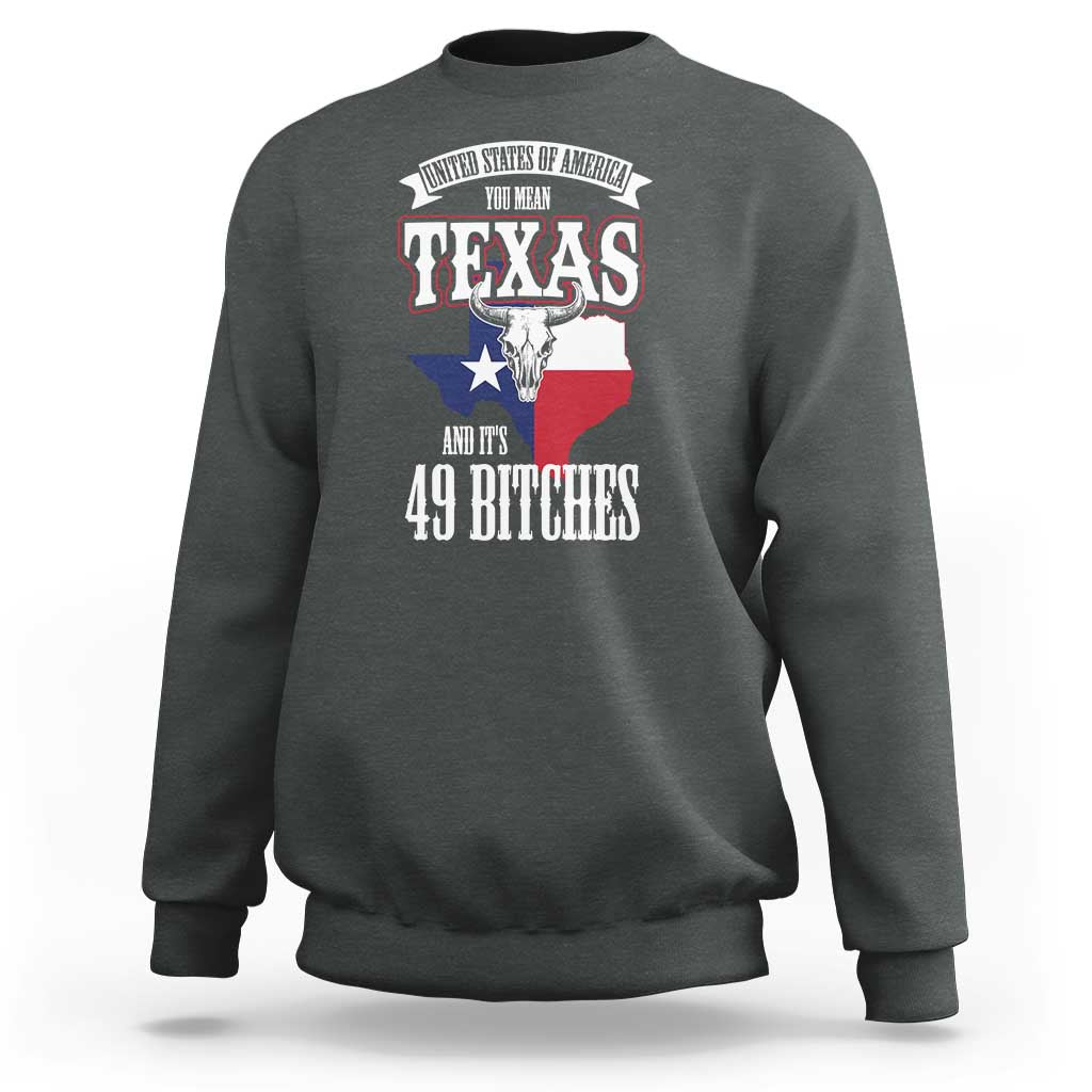 Funny American Texan Sweatshirt You Mean Texas And It's 49 Bitches TX Flag
