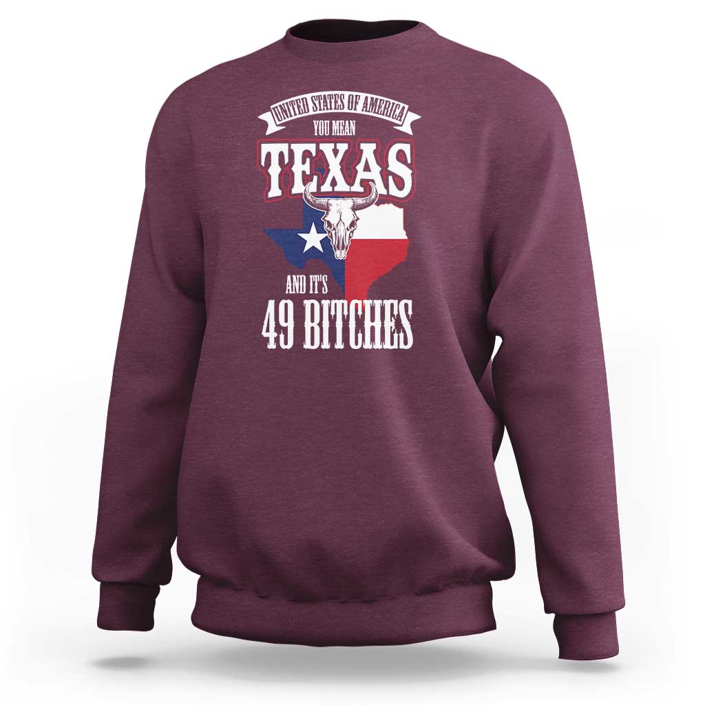 Funny American Texan Sweatshirt You Mean Texas And It's 49 Bitches TX Flag