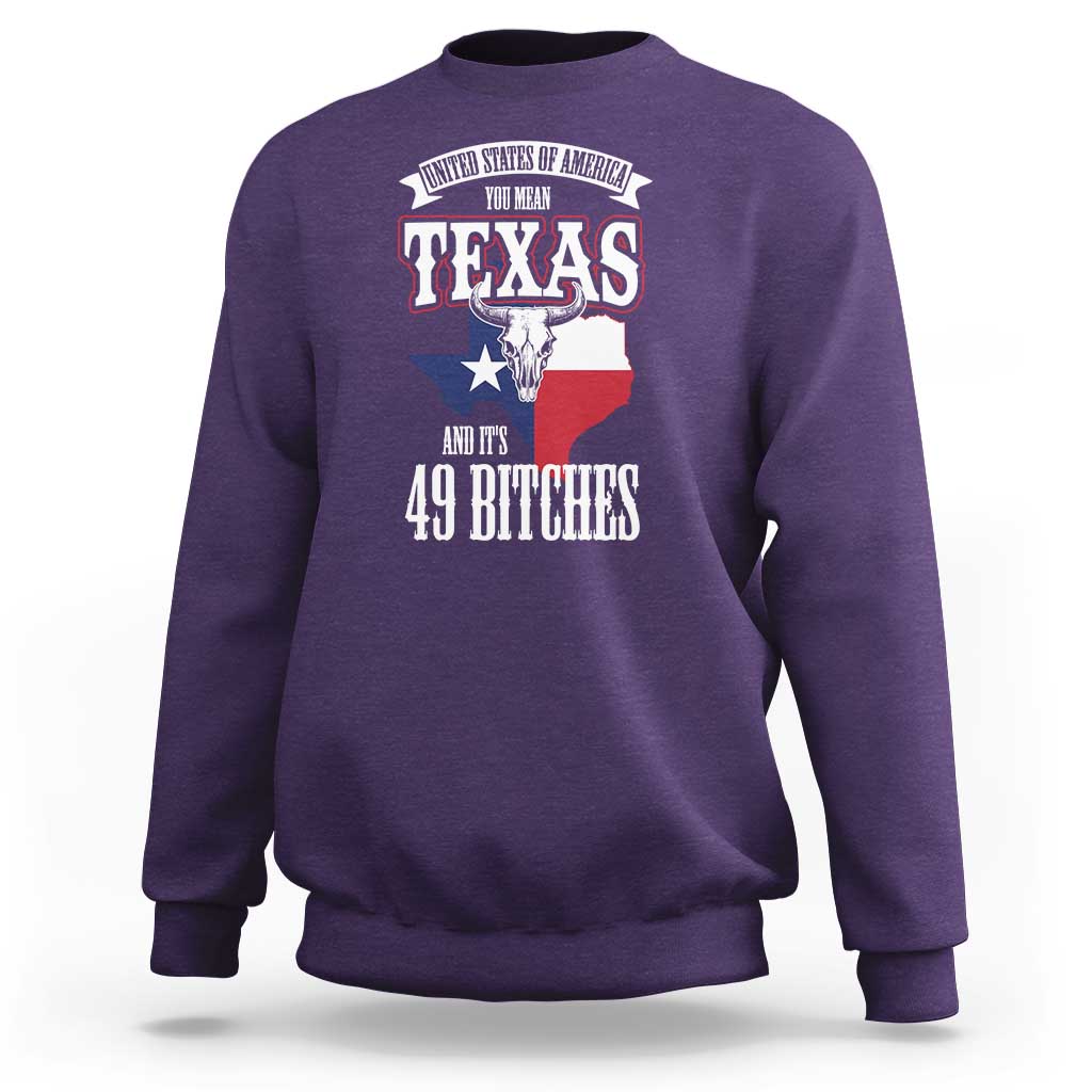 Funny American Texan Sweatshirt You Mean Texas And It's 49 Bitches TX Flag