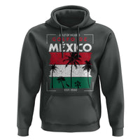 Golfo De Mexico EST 1550 Hoodie Vintage Mexican Flag Palm Tree