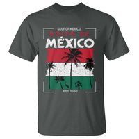 Golfo De Mexico EST 1550 T Shirt Vintage Mexican Flag Palm Tree