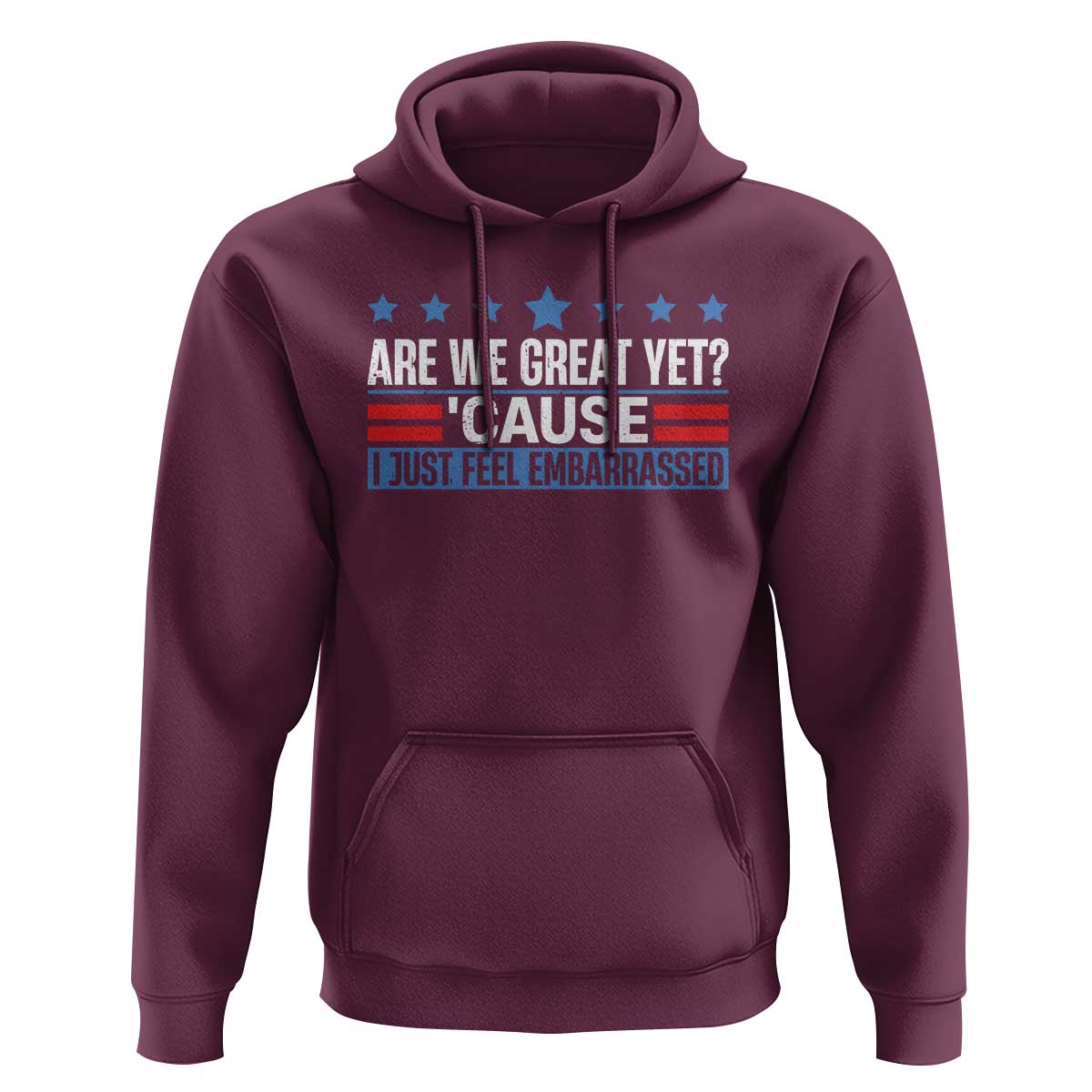 Funny Are We Great Yet Cause I Just Feel Embarrassed Hoodie Vintage Star