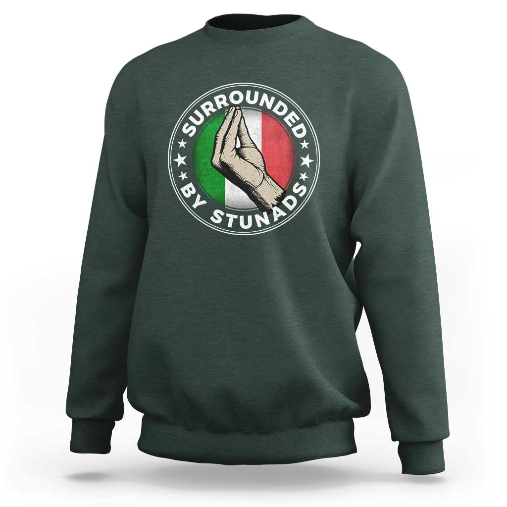 Funny Italian Slang Sweatshirt Surrounded By Stunads Che Vuoi