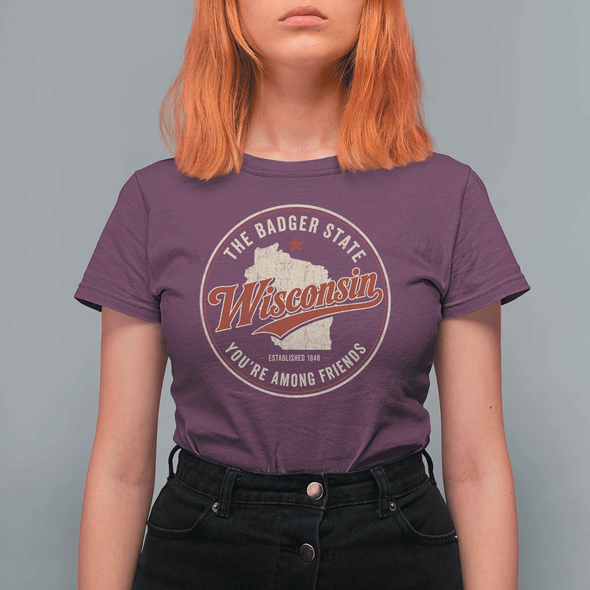 Wisconsin The Badger State T Shirt For Women You're Among Friends Retro WI State