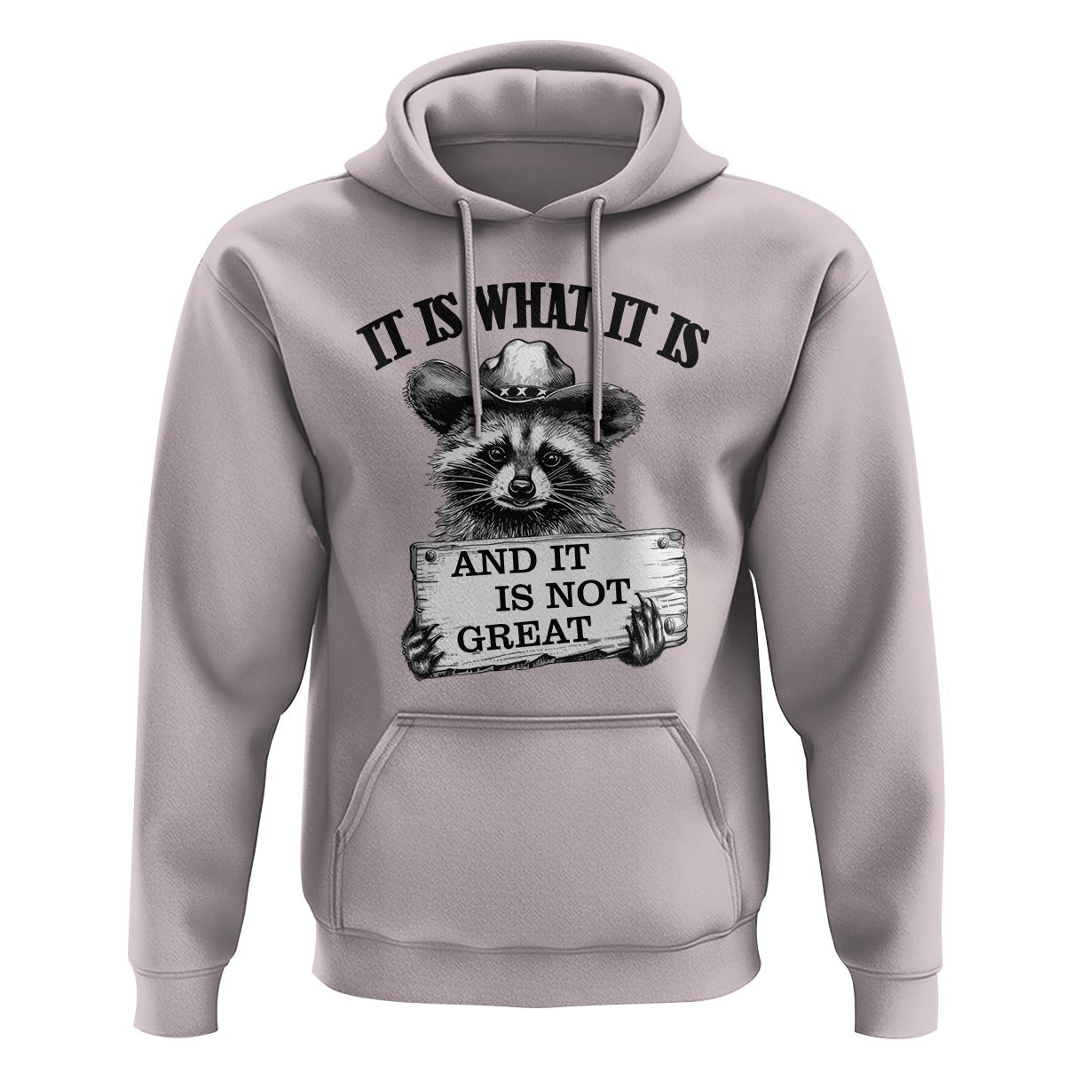 Funny Raccoon Hoodie It Is What It Is And It Is Not Great Text Display Board - Wonder Print Shop