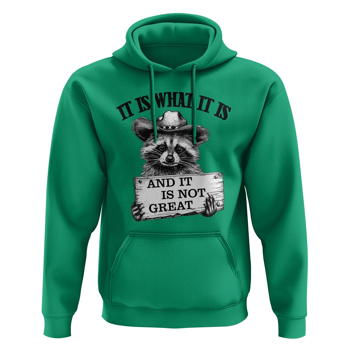 Funny Raccoon Hoodie It Is What It Is And It Is Not Great Text Display Board - Wonder Print Shop