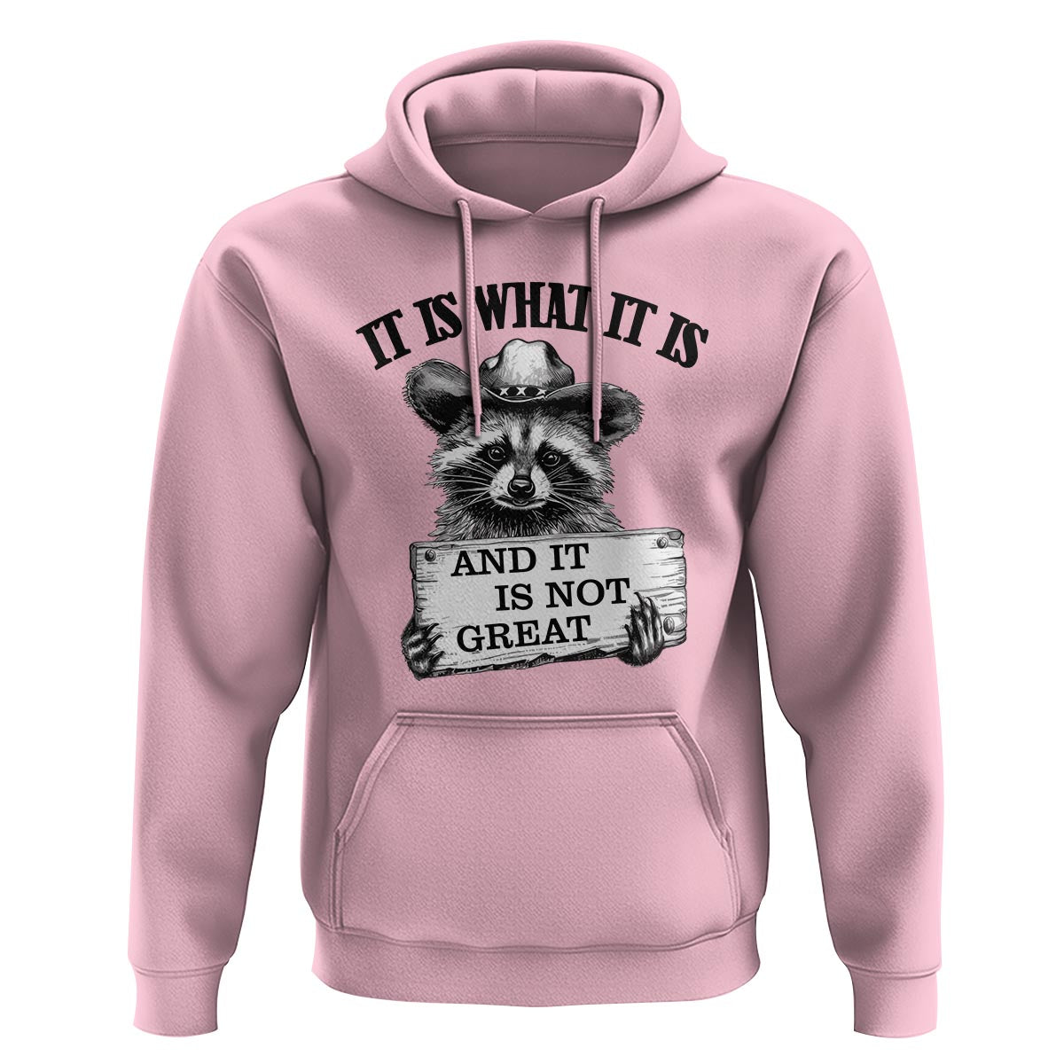 Funny Raccoon Hoodie It Is What It Is And It Is Not Great Text Display Board - Wonder Print Shop
