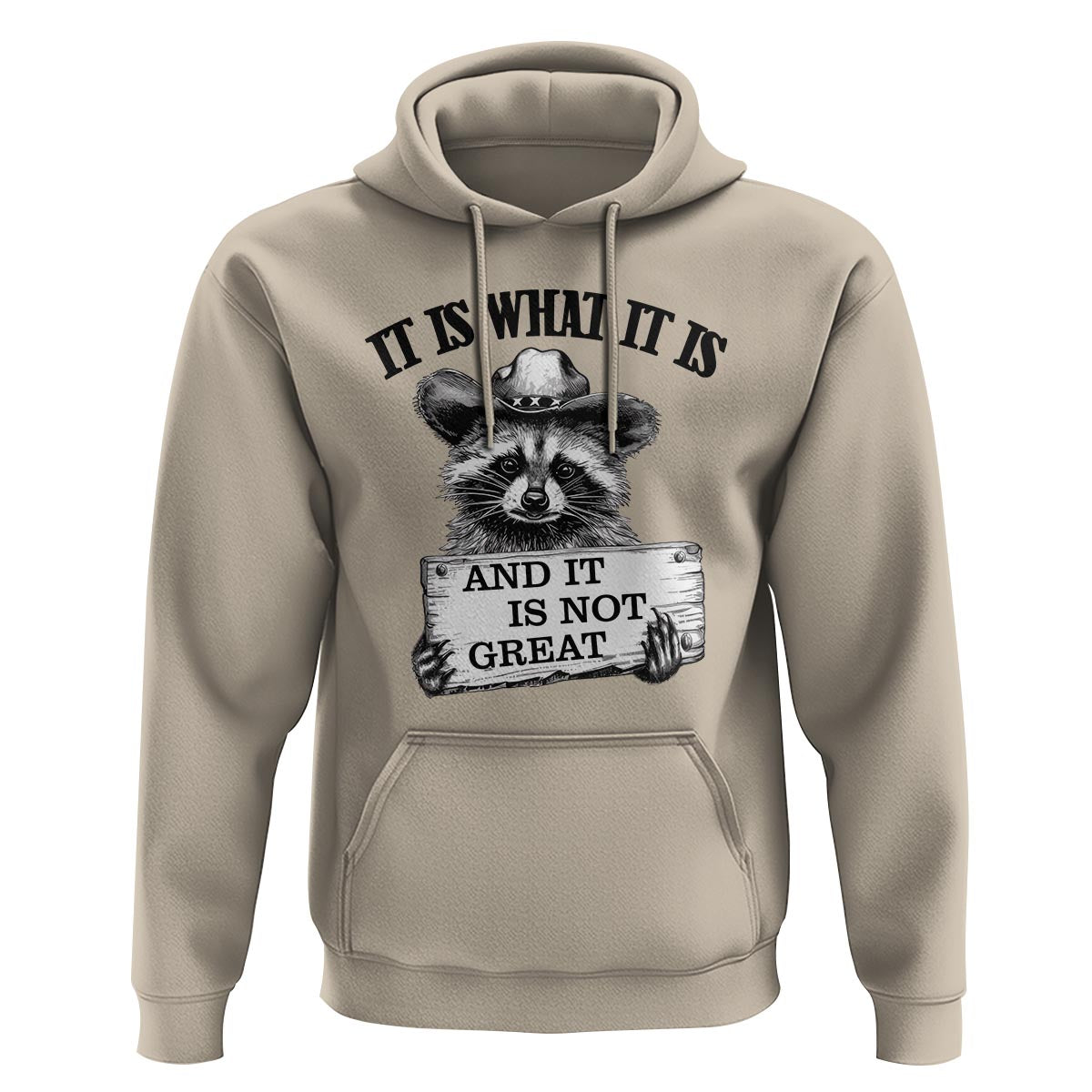 Funny Raccoon Hoodie It Is What It Is And It Is Not Great Text Display Board - Wonder Print Shop