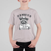 Funny Raccoon T Shirt For Kid It Is What It Is And It Is Not Great Text Display Board - Wonder Print Shop