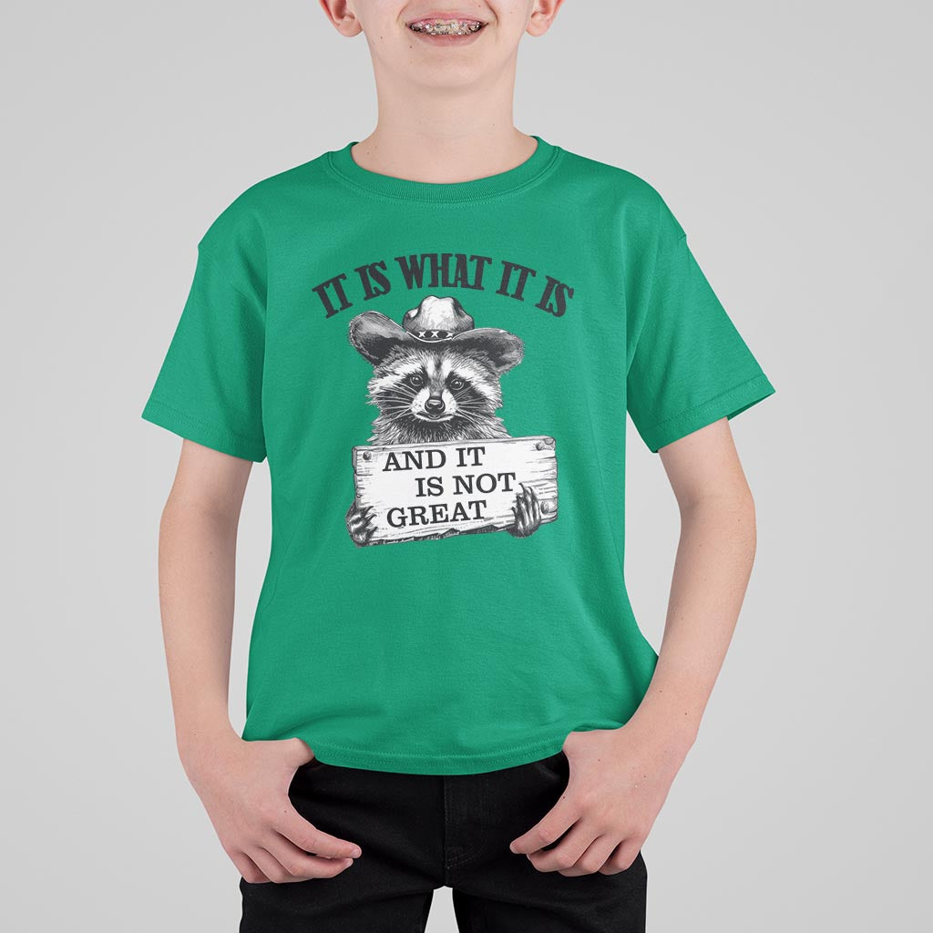 Funny Raccoon T Shirt For Kid It Is What It Is And It Is Not Great Text Display Board - Wonder Print Shop