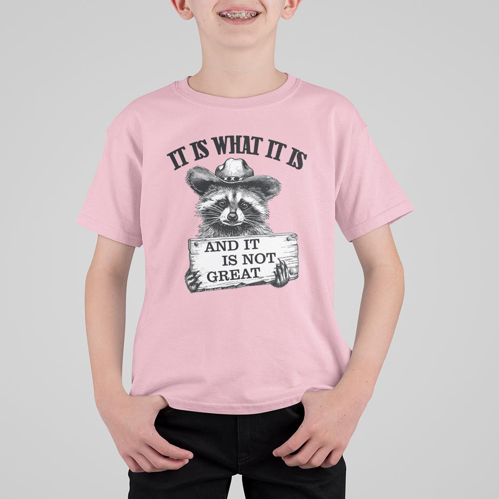 Funny Raccoon T Shirt For Kid It Is What It Is And It Is Not Great Text Display Board - Wonder Print Shop