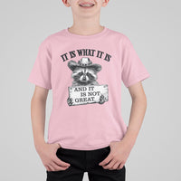 Funny Raccoon T Shirt For Kid It Is What It Is And It Is Not Great Text Display Board - Wonder Print Shop