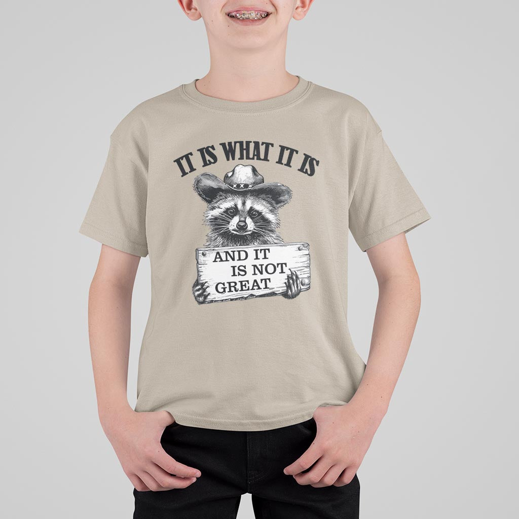 Funny Raccoon T Shirt For Kid It Is What It Is And It Is Not Great Text Display Board - Wonder Print Shop