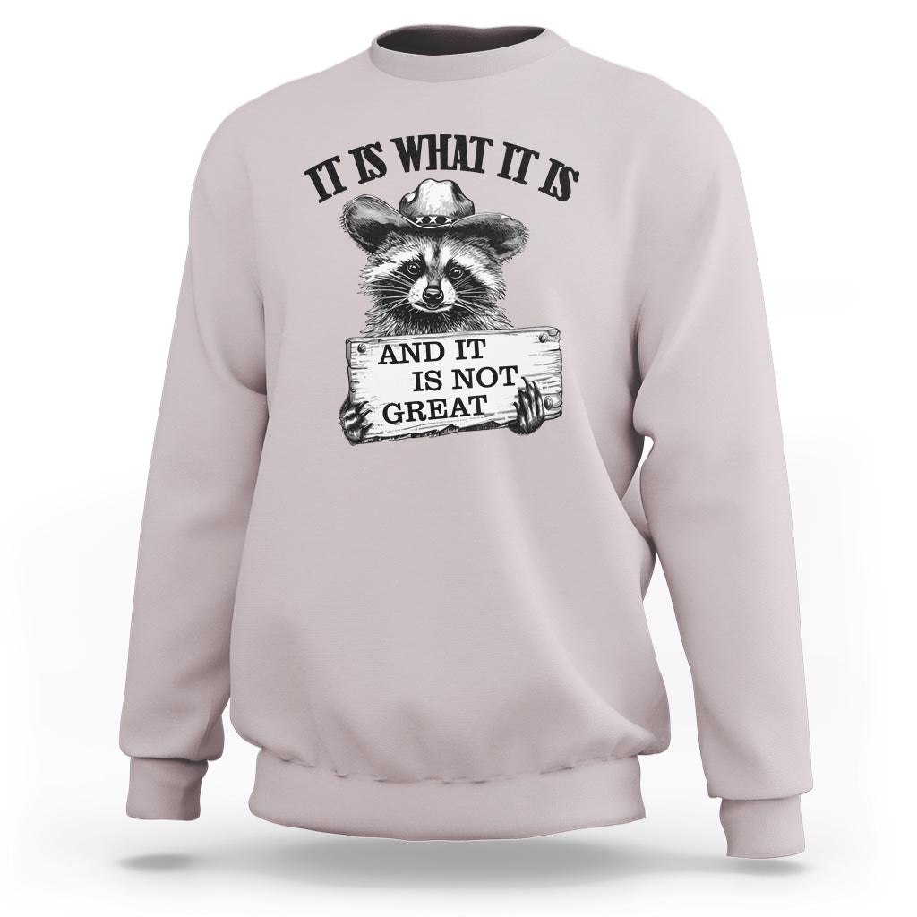 Funny Raccoon Sweatshirt It Is What It Is And It Is Not Great Text Display Board - Wonder Print Shop