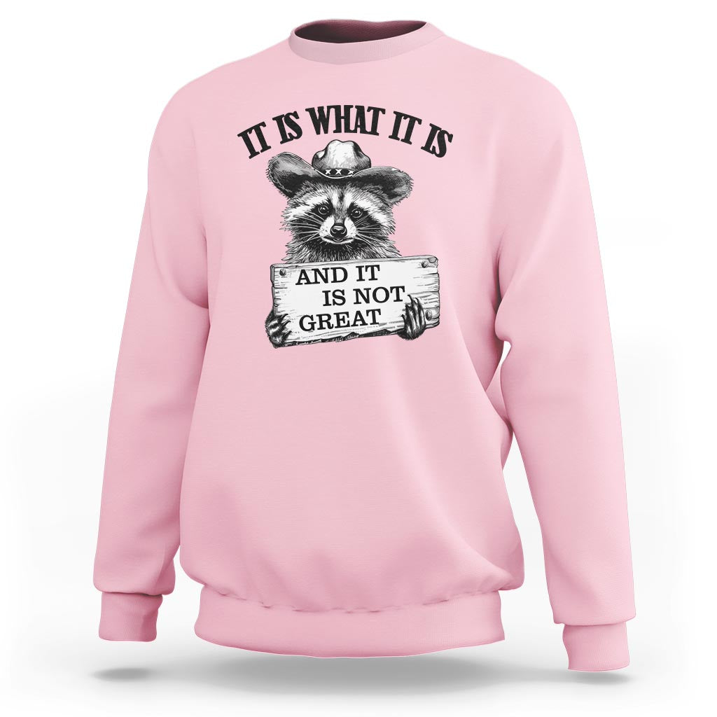 Funny Raccoon Sweatshirt It Is What It Is And It Is Not Great Text Display Board - Wonder Print Shop