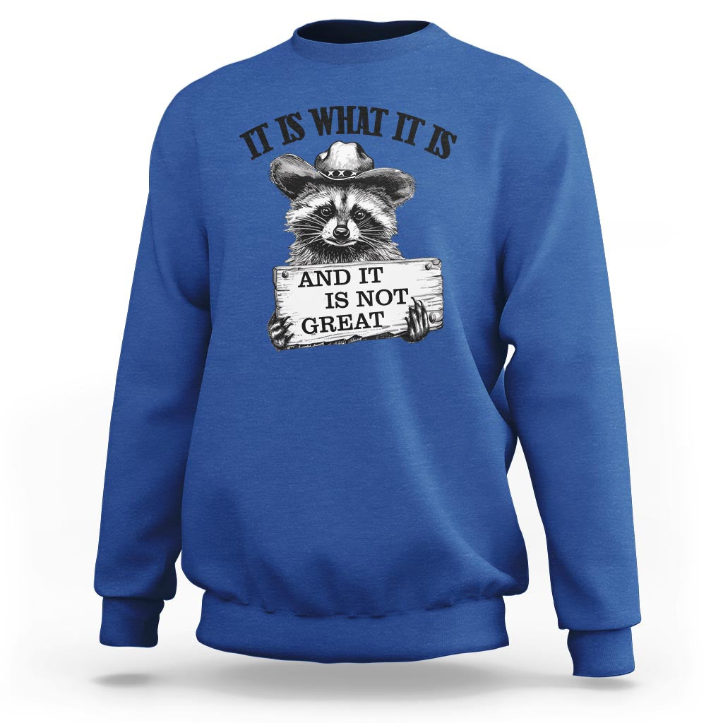 Funny Raccoon Sweatshirt It Is What It Is And It Is Not Great Text Display Board - Wonder Print Shop