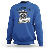 Funny Raccoon Sweatshirt It Is What It Is And It Is Not Great Text Display Board - Wonder Print Shop