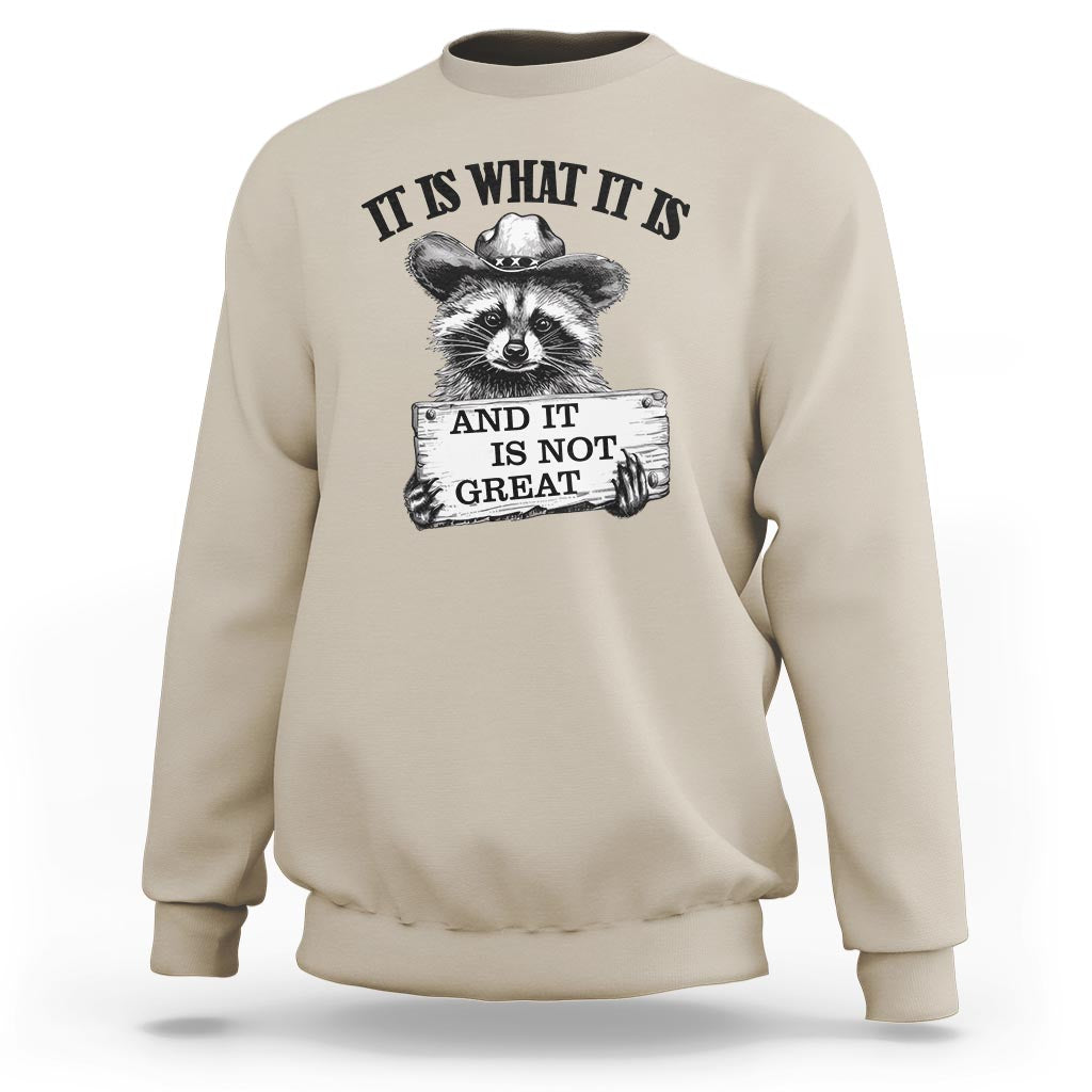 Funny Raccoon Sweatshirt It Is What It Is And It Is Not Great Text Display Board - Wonder Print Shop