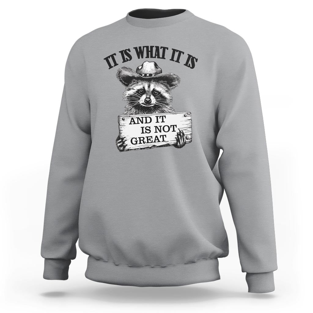 Funny Raccoon Sweatshirt It Is What It Is And It Is Not Great Text Display Board - Wonder Print Shop