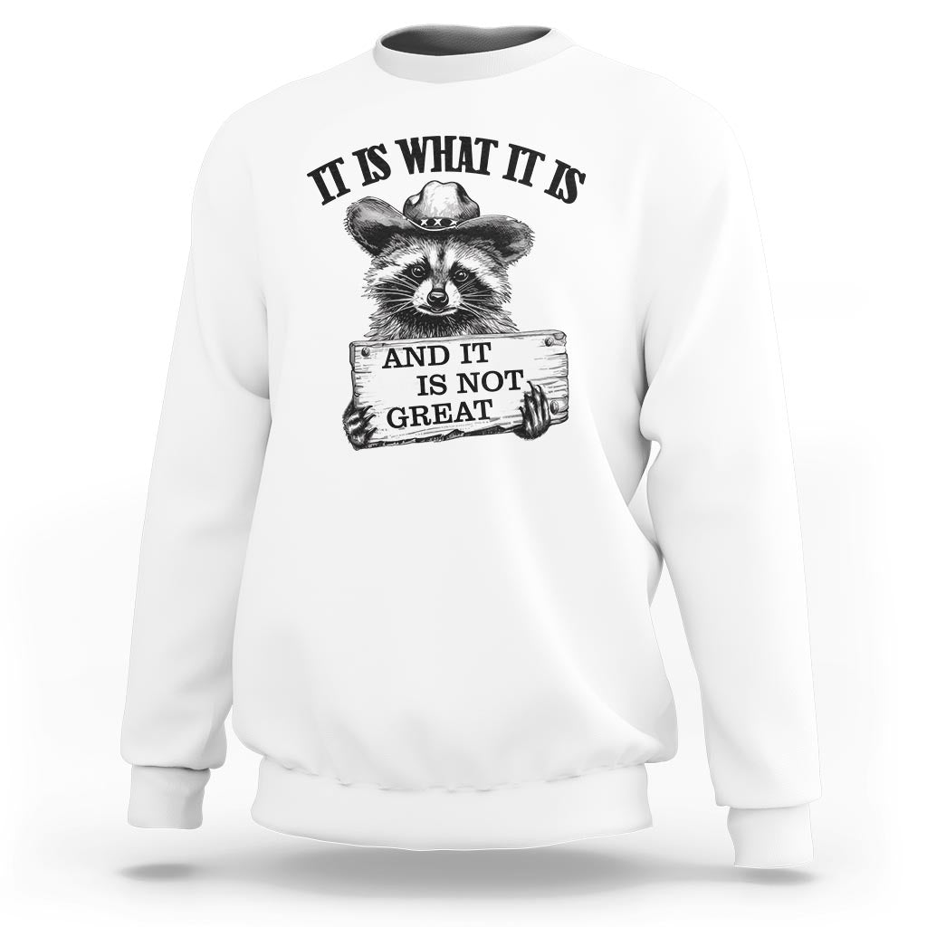 Funny Raccoon Sweatshirt It Is What It Is And It Is Not Great Text Display Board - Wonder Print Shop