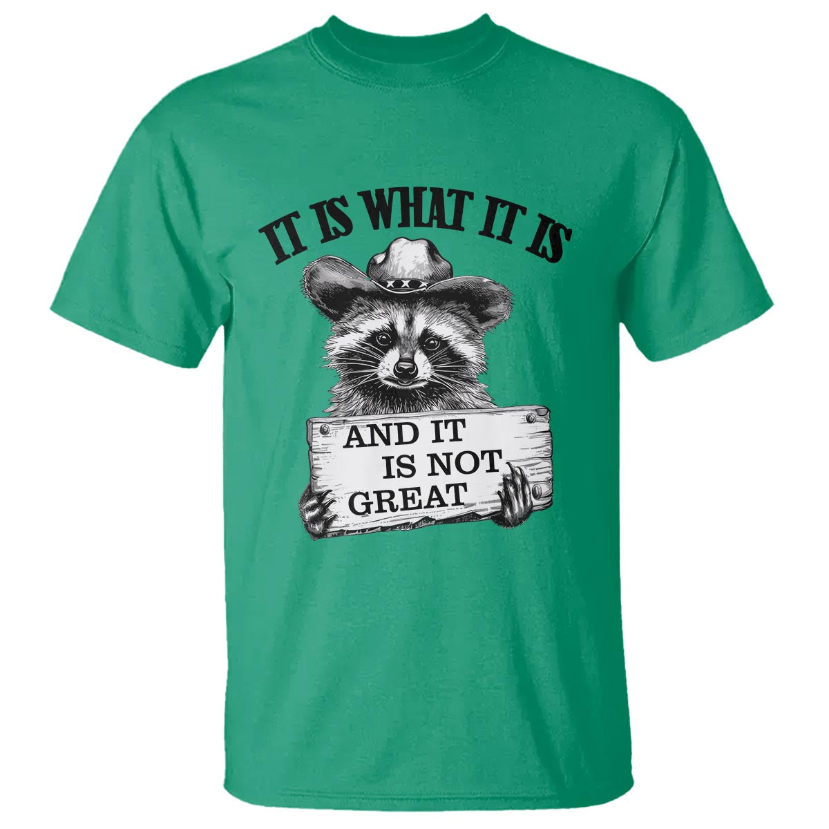 Funny Raccoon T Shirt It Is What It Is And It Is Not Great Text Display Board - Wonder Print Shop