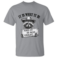 Funny Raccoon T Shirt It Is What It Is And It Is Not Great Text Display Board - Wonder Print Shop