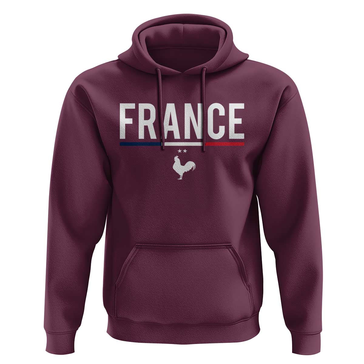 France Gallic Rooster Sports Throwback Design Vintage French Flag Hoodie