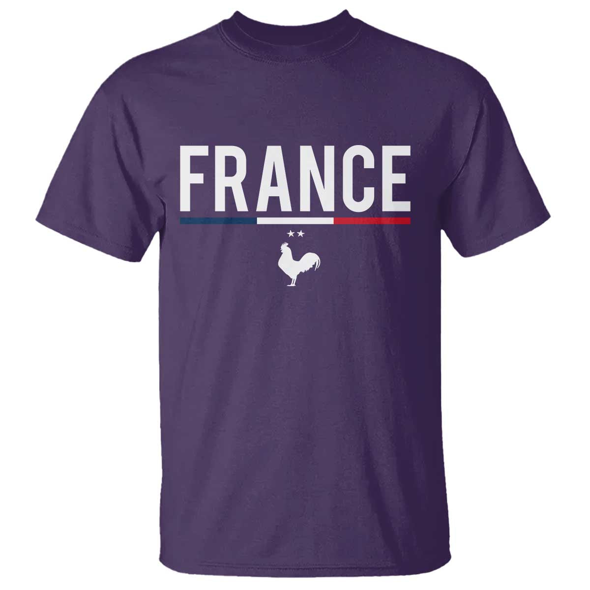 France Gallic Rooster Sports Throwback Design Vintage French Flag T Shirt