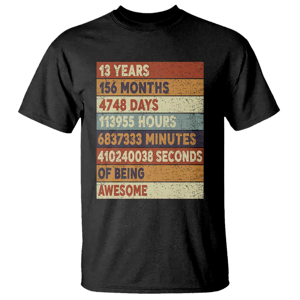 Funny 13th Birthday T Shirt 13 Years 156 Months 4748 Days Vintage Retro