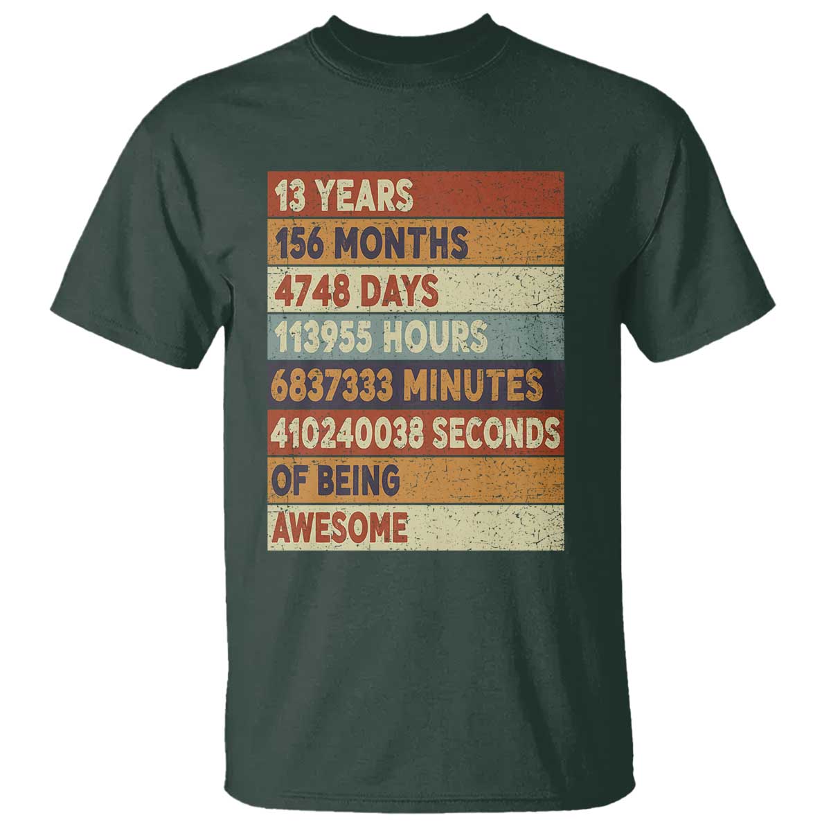 Funny 13th Birthday T Shirt 13 Years 156 Months 4748 Days Vintage Retro