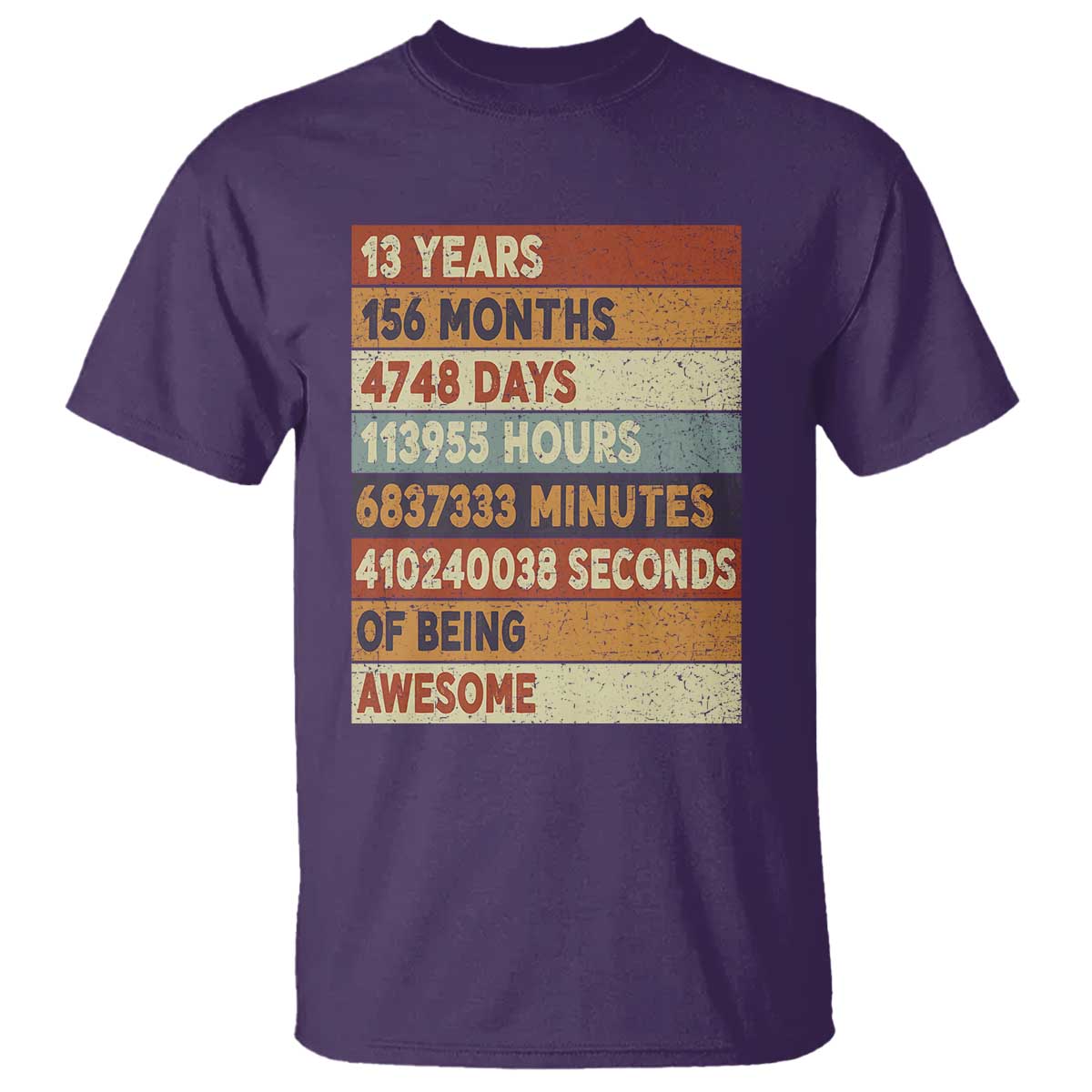 Funny 13th Birthday T Shirt 13 Years 156 Months 4748 Days Vintage Retro