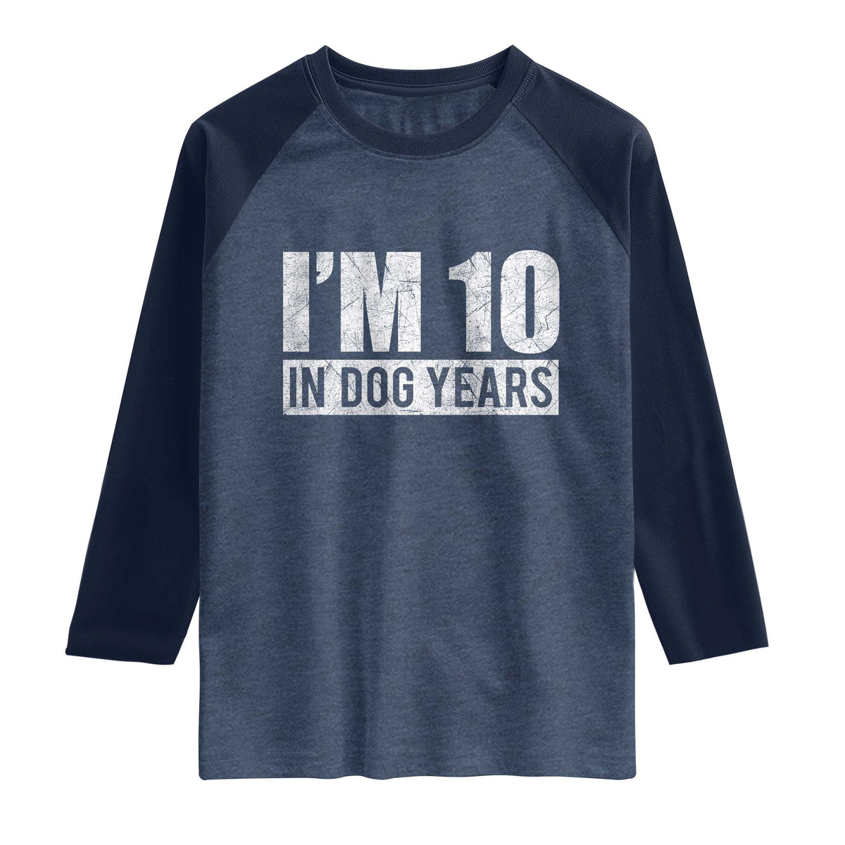 70th Birthday Funny I Am 10 In Dog Years Raglan Shirt 70 Years Old Gifts