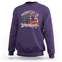 Funny Promoted To Grandfather 2025 Sweatshirt Newborn Vintage American Flag