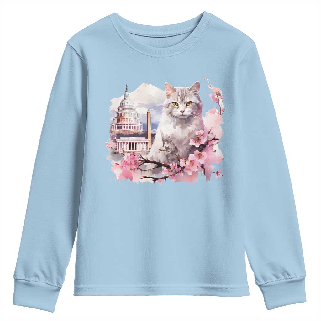 Washington DC Cat Cherry Blossoms Youth Sweatshirt Capitol Building Monuments Memorials Sakura