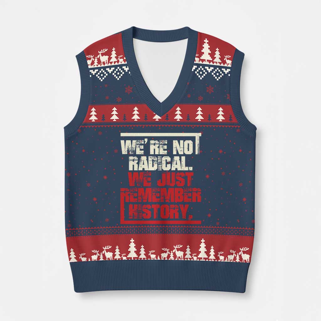 We Are Not Radical We Just Remember History V-Neck Knit Sweater Vest - Wonder Print Shop
