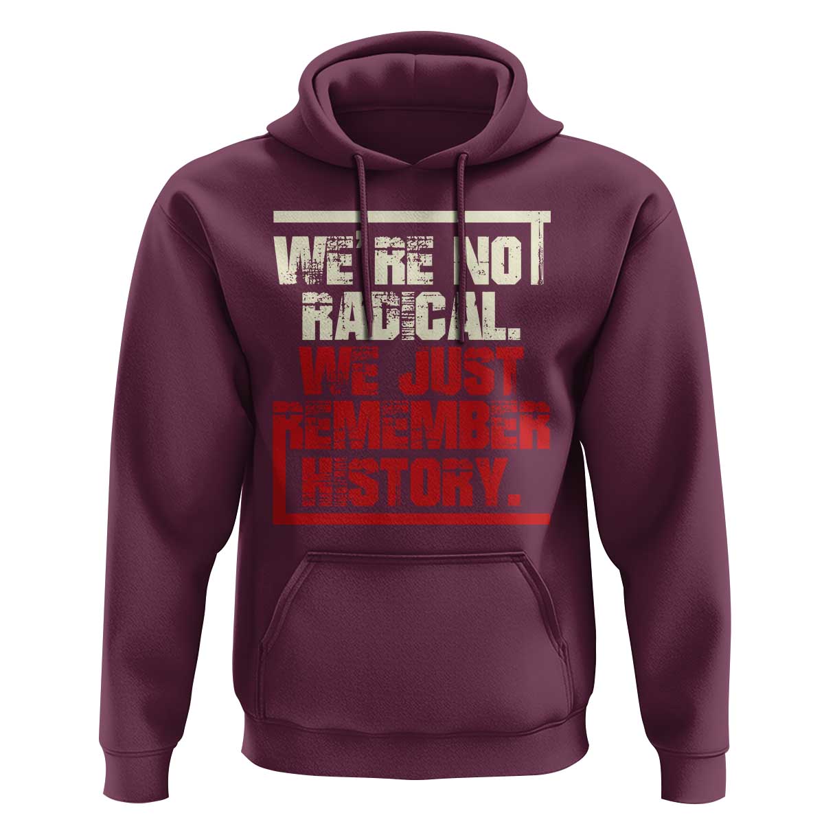 We Are Not Radical We Just Remember History Hoodie - Wonder Print Shop