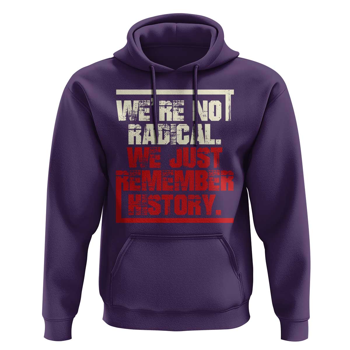We Are Not Radical We Just Remember History Hoodie - Wonder Print Shop