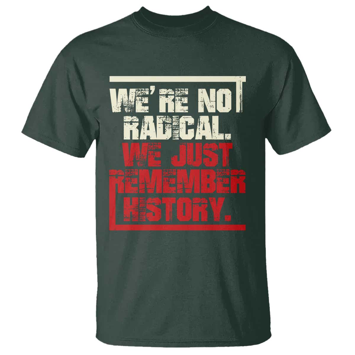 We Are Not Radical We Just Remember History T Shirt - Wonder Print Shop