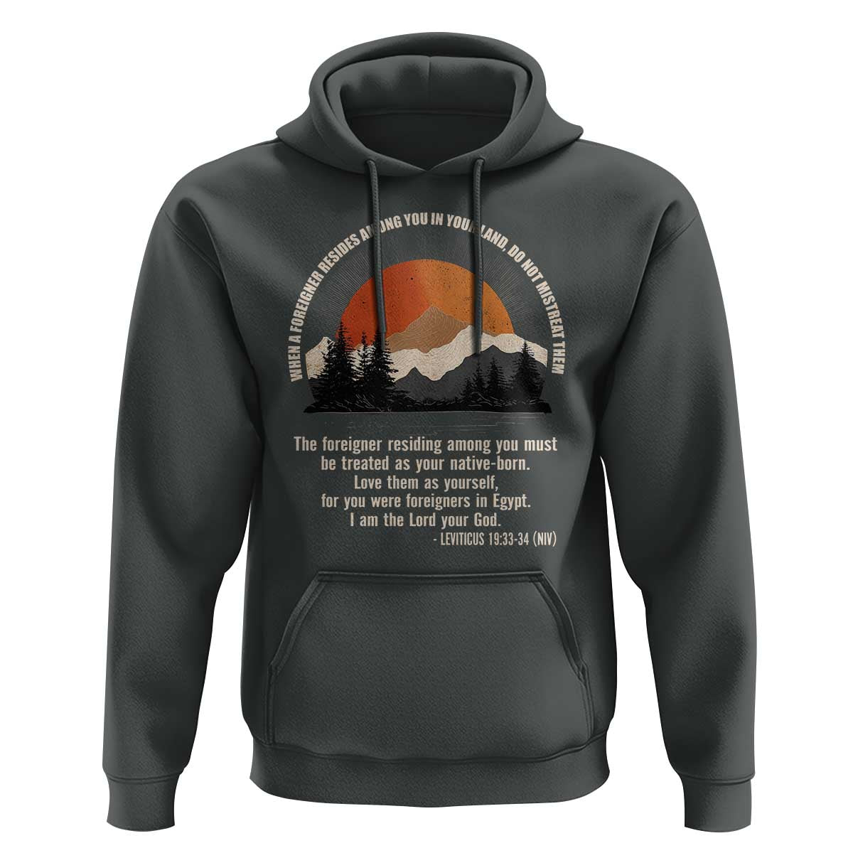 When A Foreigner Resides Among You In Your Land Do Not Mistreat Them Hoodie Leviticus Bible Verse - Wonder Print Shop