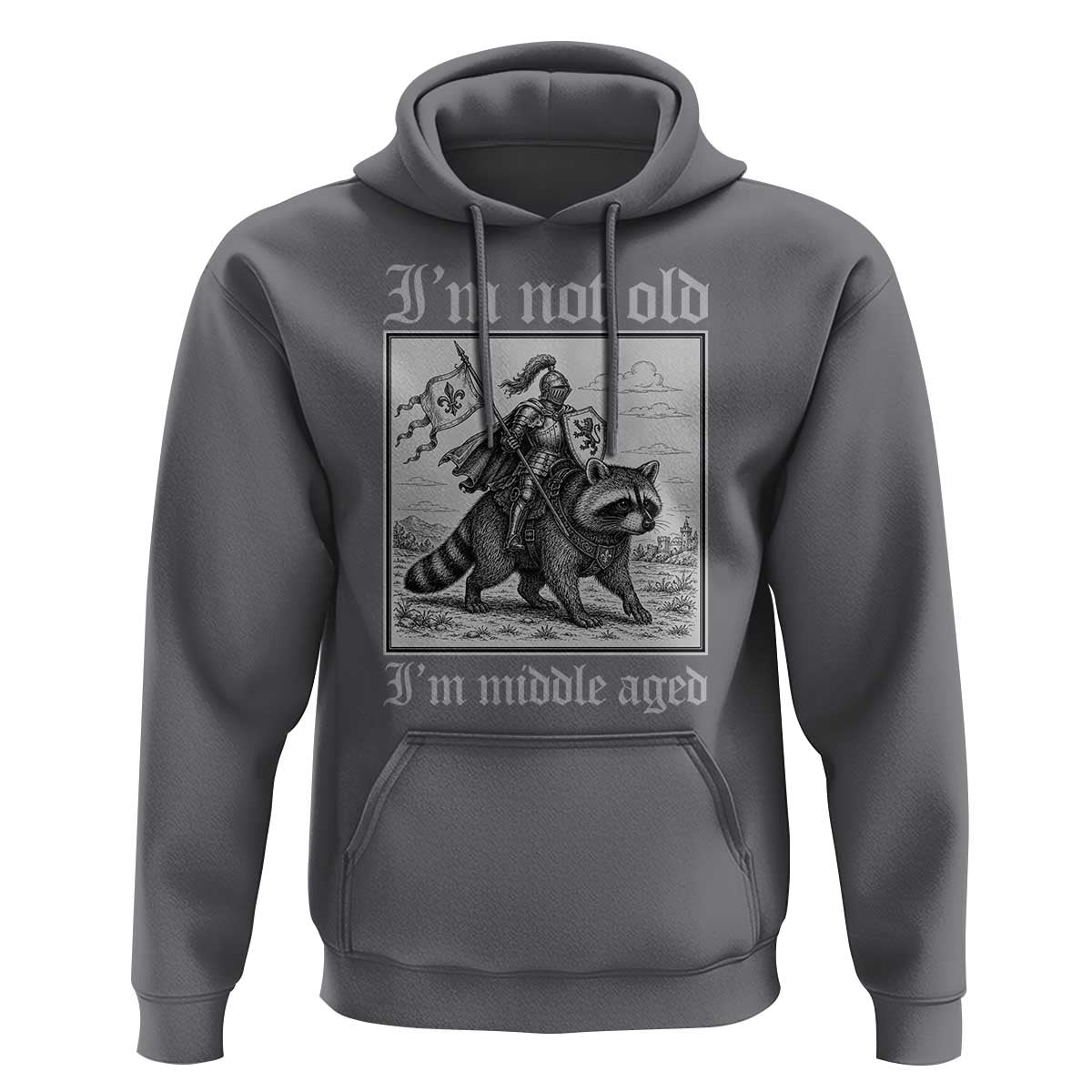 I Am Not Old I Am Middle Aged Hoodie Medieval Knight Riding Raccoon Funny Ren Faire