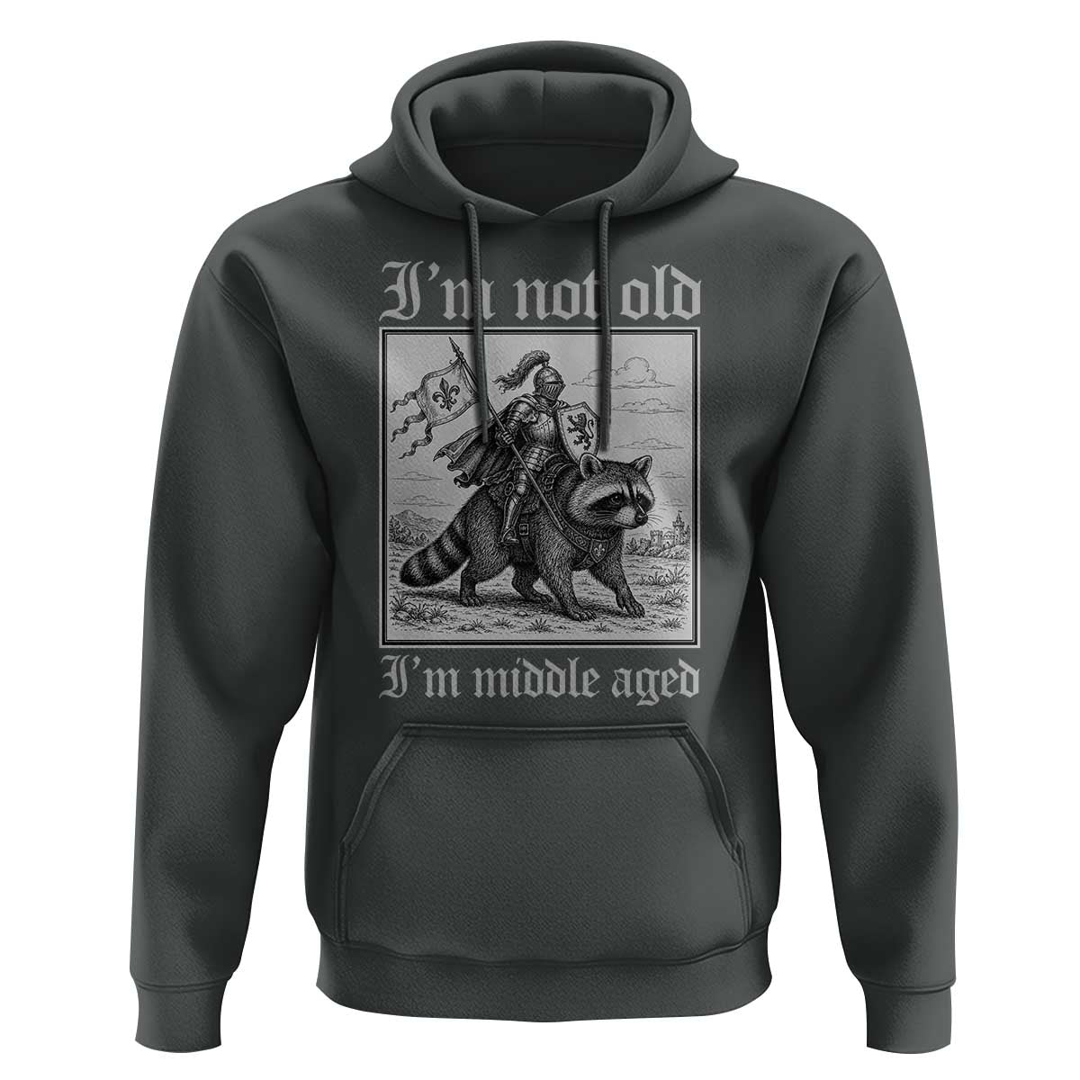 I Am Not Old I Am Middle Aged Hoodie Medieval Knight Riding Raccoon Funny Ren Faire