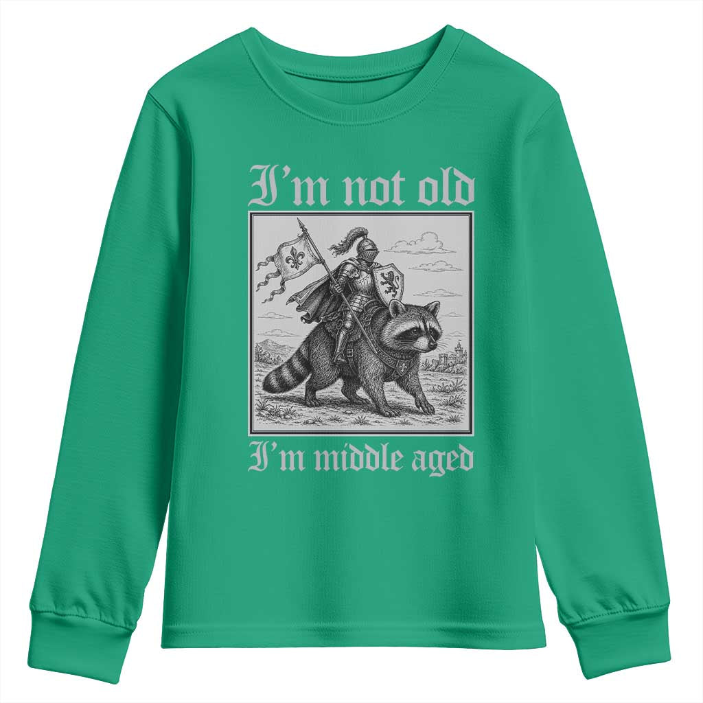 I Am Not Old I Am Middle Aged Youth Sweatshirt Medieval Knight Riding Raccoon Funny Ren Faire
