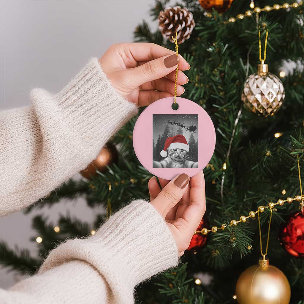 Funny Cat Selfie With Santas Sleigh Christmas Ceramic Ornament - Wonder Print Shop