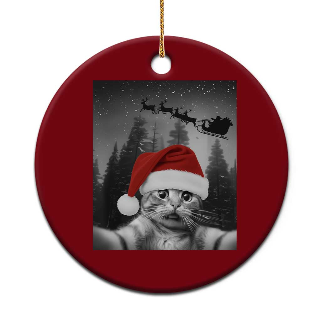 Funny Cat Selfie With Santas Sleigh Christmas Ceramic Ornament - Wonder Print Shop