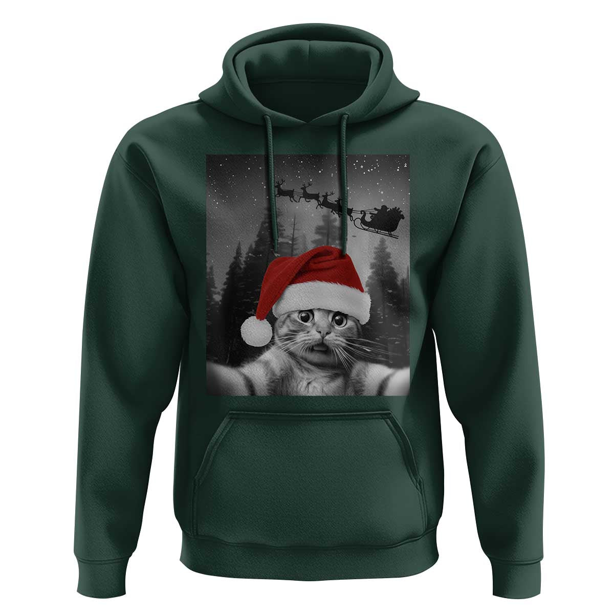 Funny Cat Selfie With Santas Sleigh Christmas Hoodie - Wonder Print Shop